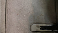 carpet.jpg carpet.jpg
