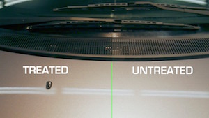 trim-care-7-before-after.jpg trim-care-7-before-after.jpg