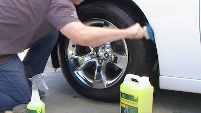 yellow-d-scrub-blue-brush.jpg yellow-d-scrub-blue-brush.jpg